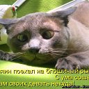 ���� �������, ������, 71 ��� - ��������� 2 ������ 2011 � ������ ���� �������� �����������