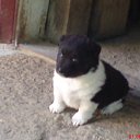 ���� �����, ���������, 60 ��� - ��������� 29 ���� 2012 � ������ �������