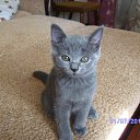 ���� ������, �������, 42 ���� - ��������� 12 ���� 2013 � ������ ������� ����