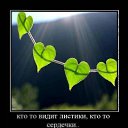 ���� �������, ���������� - ��������� 23 ������ 2011 � ������ ���� ����������