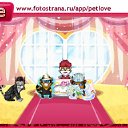 ���� ����, ��������, 38 ��� - ��������� 7 ������� 2010