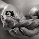  ....... ( ), , 57  -  1  2012    