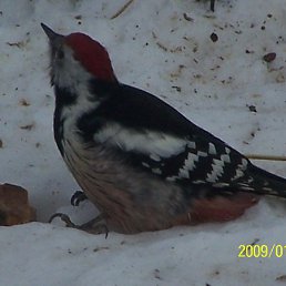 ���� ������ ��������, ������, 30 ��� - ��������� 14 ���� 2012