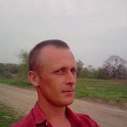 , 46 , 