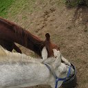 ���� ���������, ������, 62 ���� - ��������� 11 ������� 2012 � ������ ���� ����������