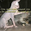���� ������� ���, �������, 43 ���� - ��������� 16 ������ 2012