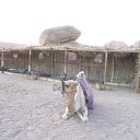 Bzdawek, , 36  -  5  2012     ,  