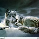 ���� ����, ����, 46 ��� - ��������� 9 �������� 2010 � ������ ��������