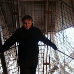 �������, �����-���������, 54 ����