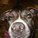 ���� �������, �����������, 59 ��� - ��������� 23 ������� 2012 � ������ �������