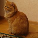 ���� �������, �����-��������� - ��������� 3 ������� 2011 � ������ ������� ���!�