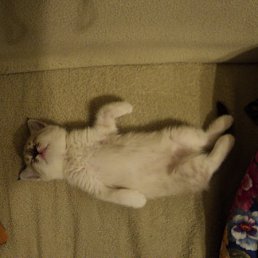 ���� ����, ������, 55 ��� - ��������� 10 ������ 2012