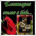 ���� ������, ������ - ��������� 19 ������ 2011 � ������ �PetLove�