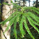  Wit, , 59  -  3  2009    -  