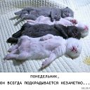 ���� M@ria, �������� - ��������� 25 ����� 2010 � ������ ���������
