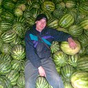 ���� ������, ����������, 44 ���� - ��������� 2 ����� 2012 � ������ ���� ����������