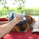  , , 50  -  1  2012   2012