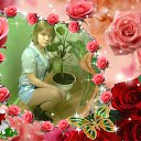 ���� ����, ������, 33 ���� - ��������� 26 ������� 2012