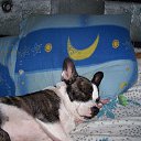 ���� �����, �������, 59 ��� - ��������� 2 ���� 2013 � ������ ����� ��� ������������