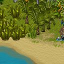 ���� ����������, ������, 34 ���� - ��������� 11 ��� 2013 � ������ �Tropikania�