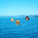 �������� �� ������� ��� �������)))�