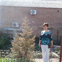 ���� ����, ��������, 72 ���� - ��������� 4 ��� 2013 � ������ ���� ����������