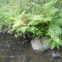 ���� ������, �����������, 45 ��� - ��������� 22 ��� 2012 � ������ ���� ����������