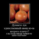 ���� �������, ������, 39 ��� - ��������� 23 ������� 2010 � ������ ��������������