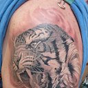  , -, 55  -  4  2013   Tattoo