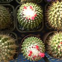 ���� ������, ������, 69 ��� - ��������� 5 ������ 2013 � ������ ���� ��������� ����������