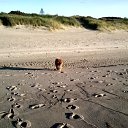 ���� ������� . �� ������� ., �����������, 64 ���� - ��������� 16 ������ 2012 � ������ �������.�