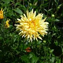 ���� ����, ������ �������� - ��������� 23 ������� 2011 � ������ �������