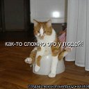 ���� �����, ��������, 40 ��� - ��������� 23 ������� 2010 � ������ �������������