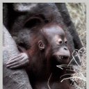 ���� �������, �������, 44 ���� - ��������� 19 ����� 2010 � ������ ������...�