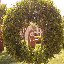 ���� Sergei, �������, 53 ���� - ��������� 23 �������� 2011