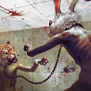  , -, 40  -  30  2010   )))