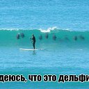 ���� ���-����, ������, 38 ��� - ��������� 29 ��� 2013 � ������ ���� ����������
