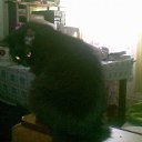 ���� ����, ���������, 32 ���� - ��������� 22 ��� 2012 � ������ ���� ����������