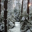 ���� &bull;&deg; ������ &deg;&bull;, ������ - ��������� 20 ������ 2012 � ������ ���� ����������