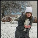 ���� K����, ���������, 27 ��� - ��������� 22 ������ 2011