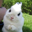 ���� ������, �����������, 45 ��� - ��������� 26 ���� 2012 � ������ ���� ����������