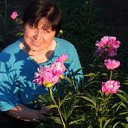 ���� ������, ������������ - ��������� 24 ���� 2013 � ������ ���� ����������