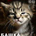  , , 40  -  13  2009   )))