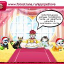  , , 48  -  7  2010   PetLove