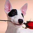 ���� ����� - ���������� ��������!!!, �����������, 56 ��� - ��������� 3 ������� 2009 � ������ �������