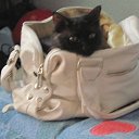 ���� ~����~, ������������, 24 ���� - ��������� 5 ������� 2011 � ������ ���� ������� ������