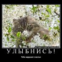 ���� �������, ������, 46 ��� - ��������� 30 ����� 2011 � ������ ��������� :)�