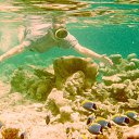 ���� Alexey, ������, 73 ���� - ��������� 15 ���� 2013 � ������ ���� ����������