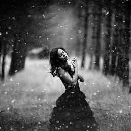 ���� �������, �������, 44 ���� - ��������� 8 ���� 2012