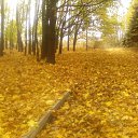 ���� �������, ��������, 47 ��� - ��������� 19 ������ 2011 � ������ ���� ����������